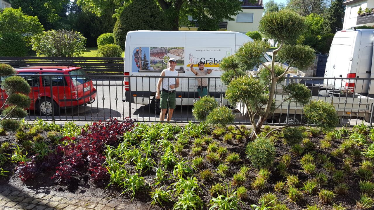 Vorgartenbeet mit Formgehölzen und Stauden, im Hintergrund das Team von Gräber