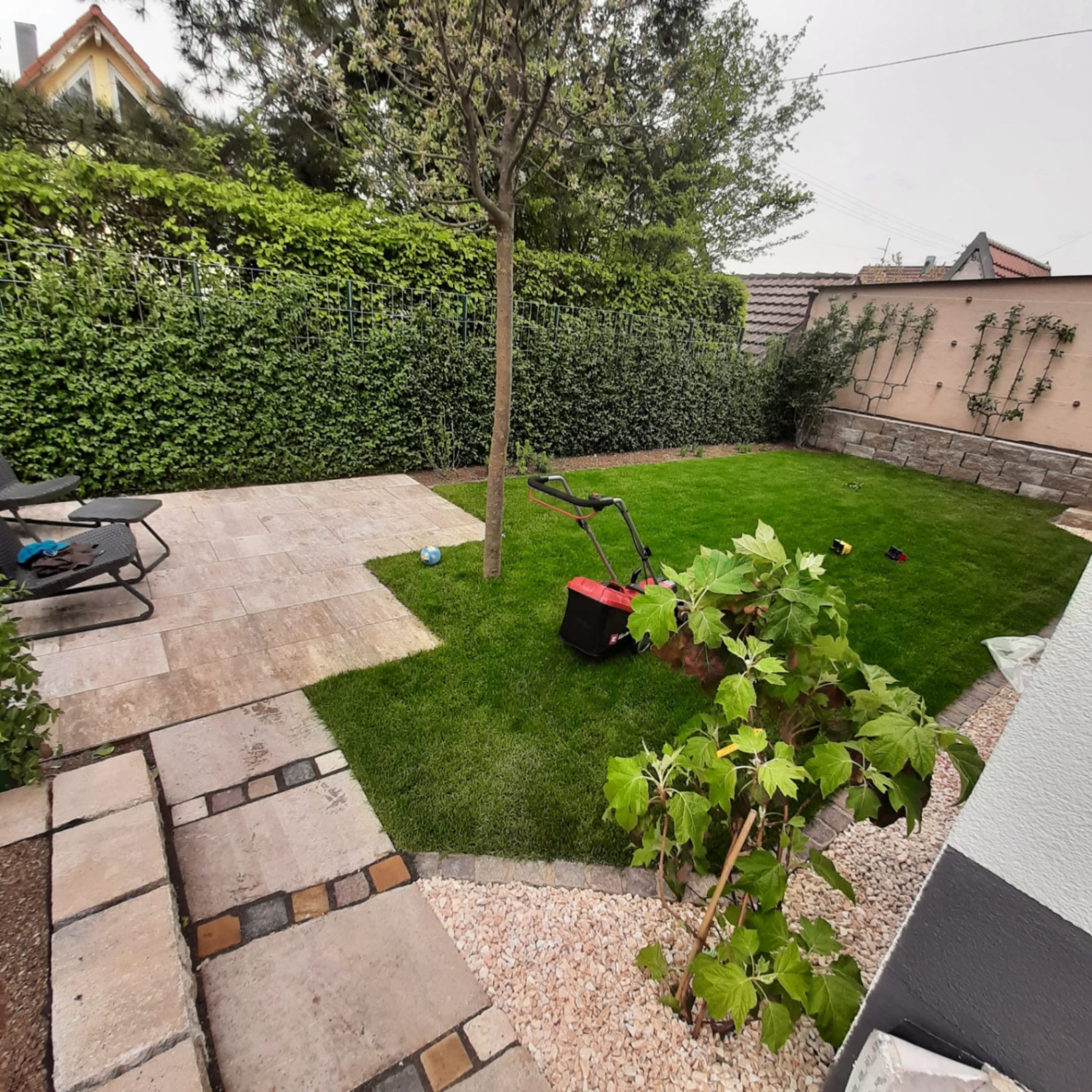 Garten hinter dem Haus mit Travertin-Terrasse, Rollrasen, Spalierobst und Helix Sichtschutzwand