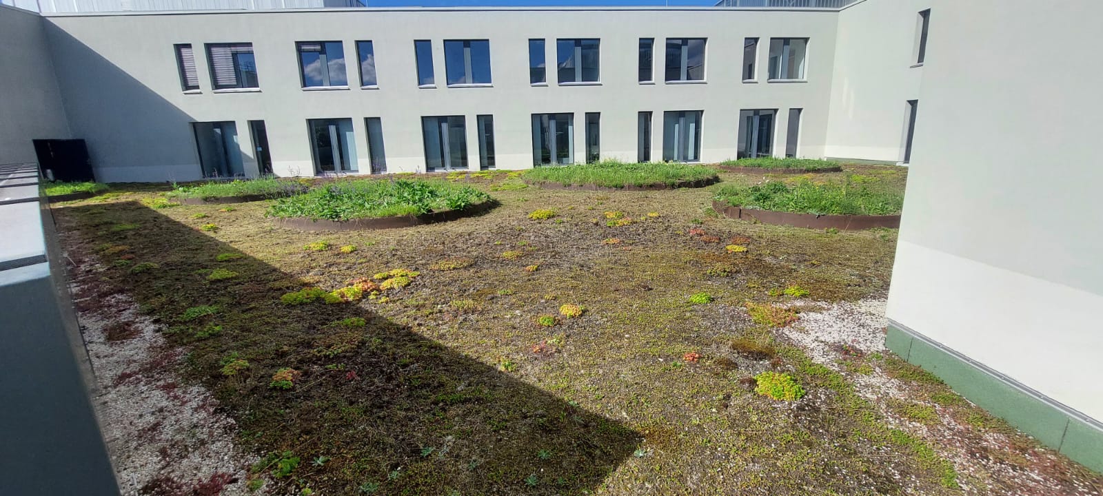 Dachgartenpflege mit strukturierten Pflanzflächen an einem Einkaufszentrum