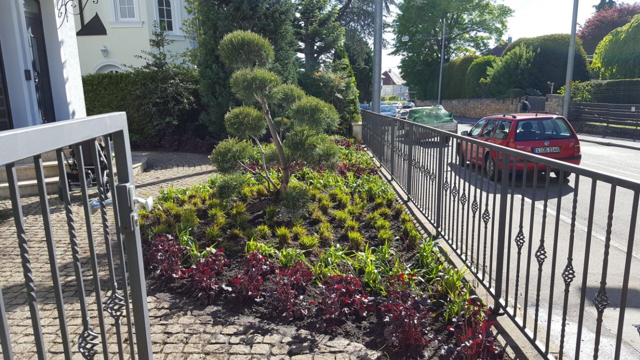 Neupflanzung eines Vorgartenbeets in Stuttgart-Degerloch