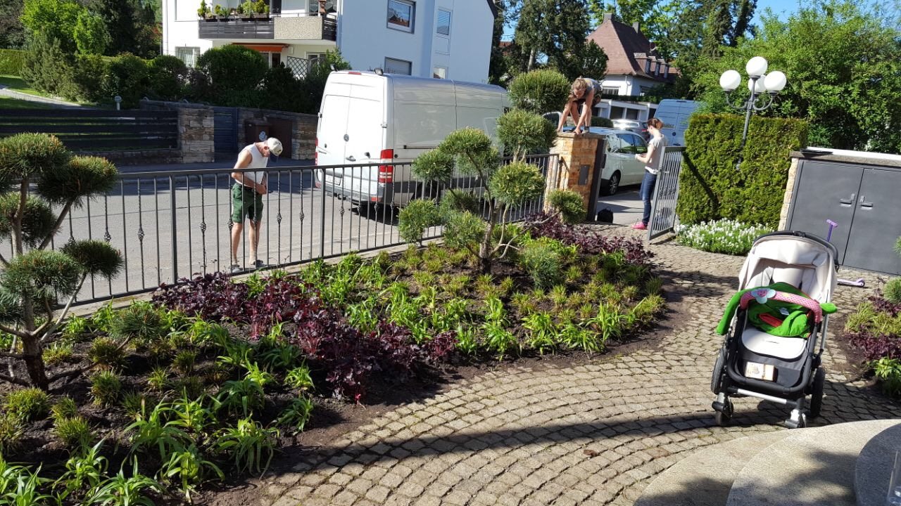 Seitliche Ansicht des neu bepflanzten Vorgartenbeets in Stuttgart-Degerloch