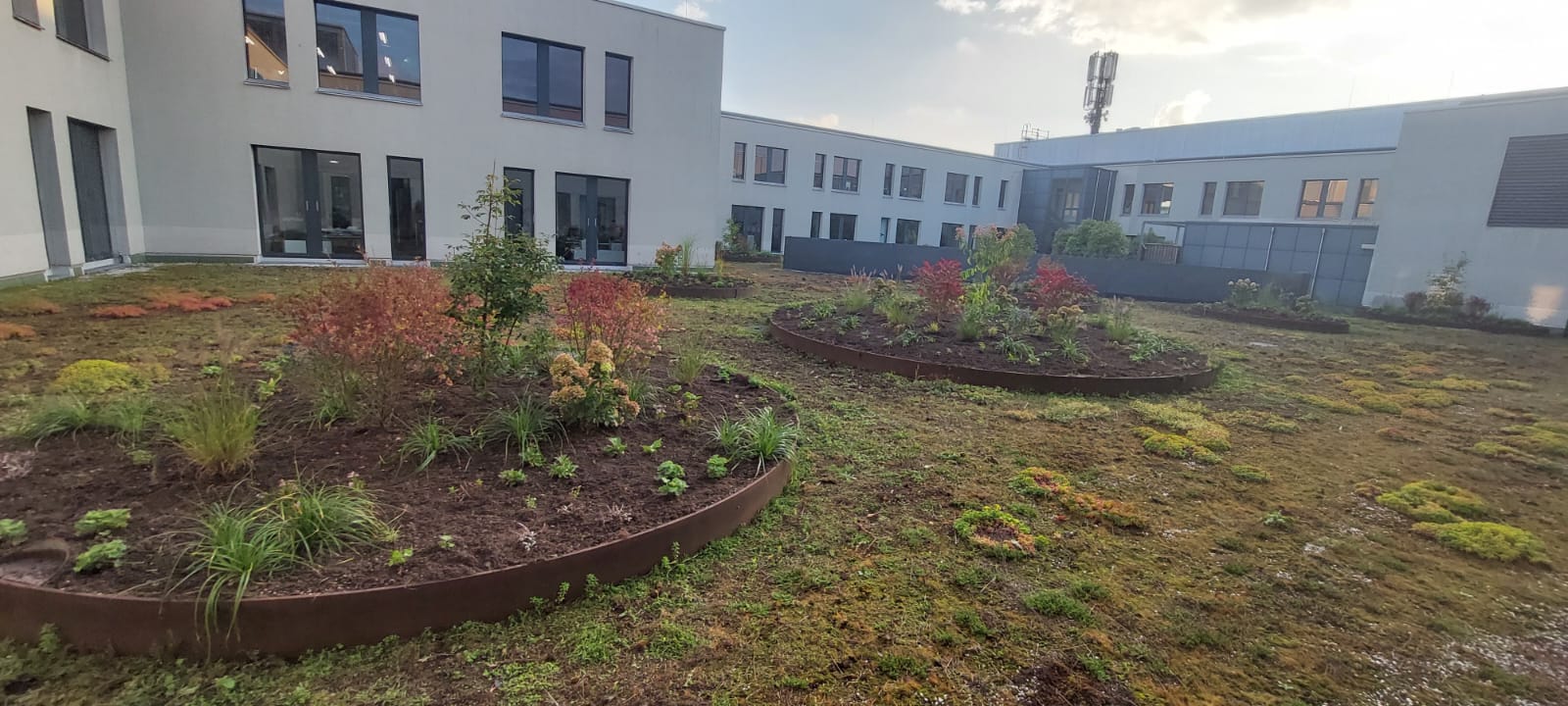 Gepflegte Pflanzrondelle an einem Einkaufszentrum in Stuttgart