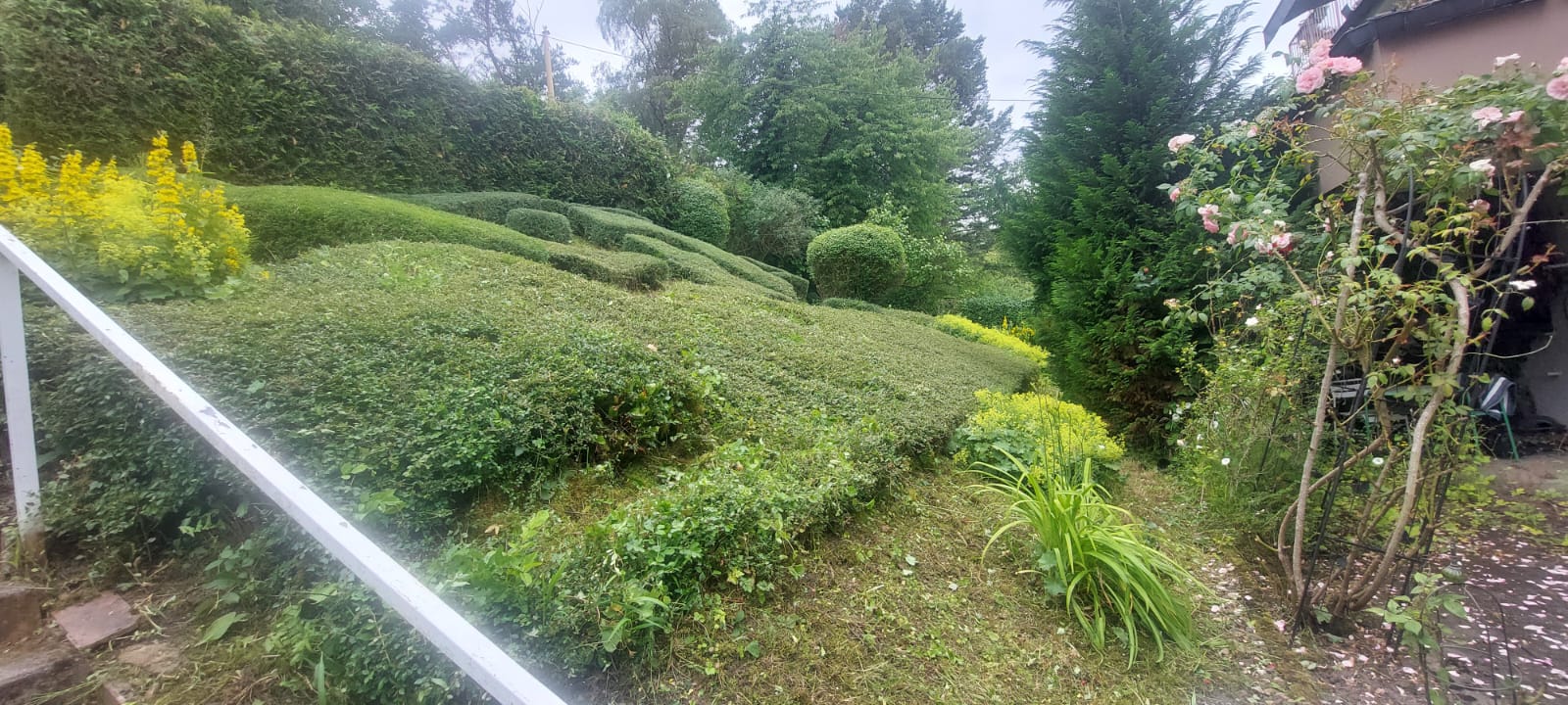 Weitere Gesamtansicht der gepflegten Gartenanlage nach der Bearbeitung